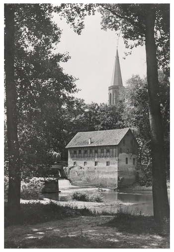 Fotograf: Hickstein, Carmen, Copyright: 1