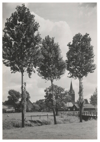 Fotograf: Hickstein, Carmen, Copyright: 1