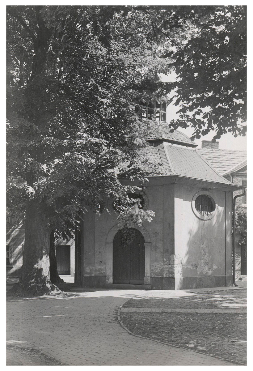 Fotograf: Hickstein, Carmen, Copyright: 1