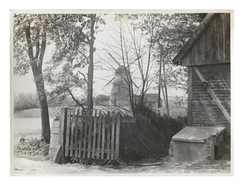 Fotograf: Hickstein, Carmen, Copyright: 1