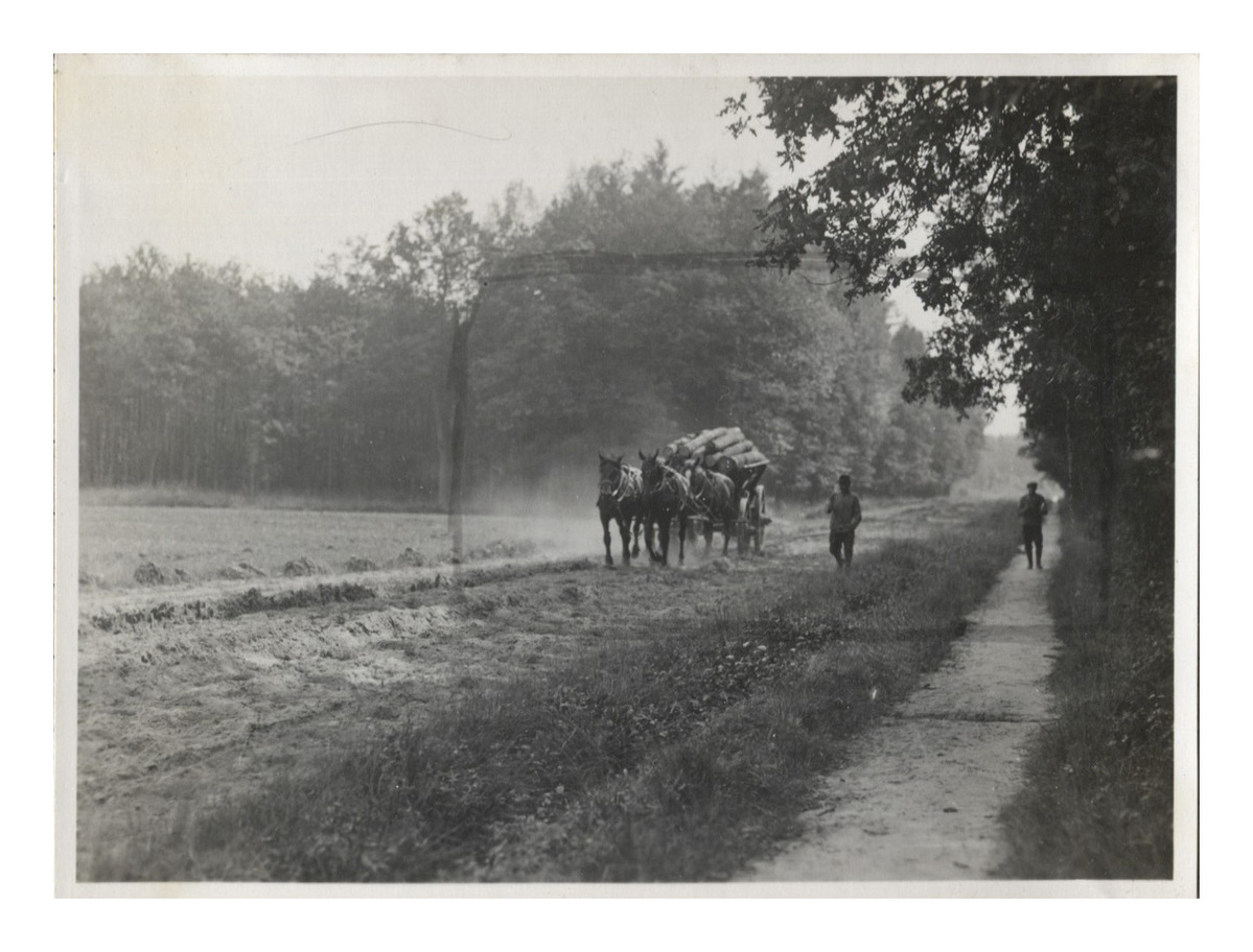 Fotograf: Hickstein, Carmen, Copyright: 1