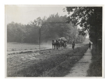 Fotograf: Hickstein, Carmen, Copyright: 1