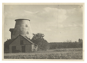 Fotograf: Hickstein, Carmen, Copyright: 1