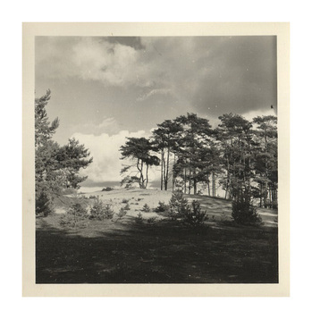 Fotograf: Hickstein, Carmen, Copyright: 1