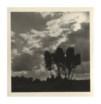 Fotograf: Hickstein, Carmen, Copyright: 1