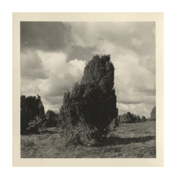 Fotograf: Hickstein, Carmen, Copyright: 1