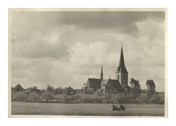 Fotograf: Hickstein, Carmen, Copyright: 1