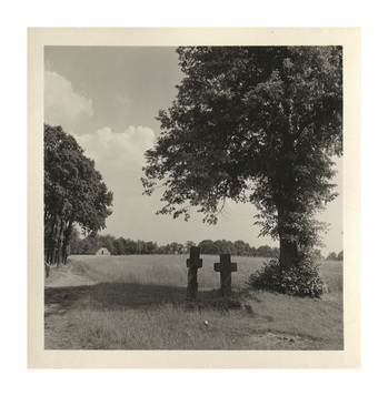 Fotograf: Hickstein, Carmen, Copyright: 1