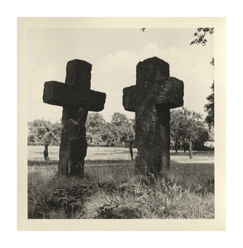 Fotograf: Hickstein, Carmen, Copyright: 1