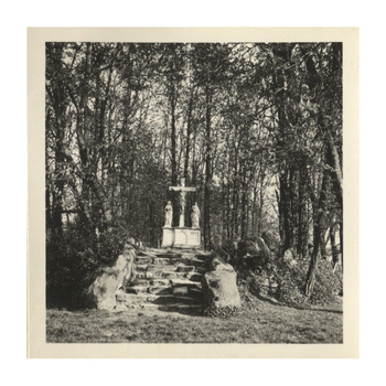 Fotograf: Hickstein, Carmen, Copyright: 1