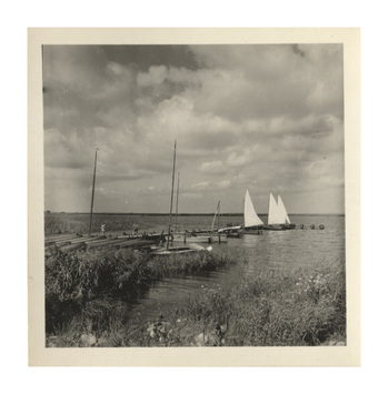 Fotograf: Hickstein, Carmen, Copyright: 1