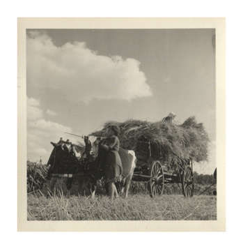 Fotograf: Hickstein, Carmen, Copyright: 1