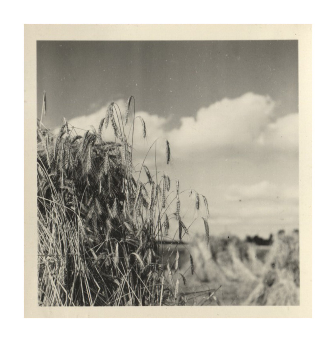 Fotograf: Hickstein, Carmen, Copyright: 1