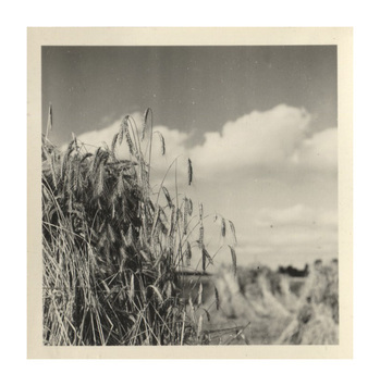 Fotograf: Hickstein, Carmen, Copyright: 1