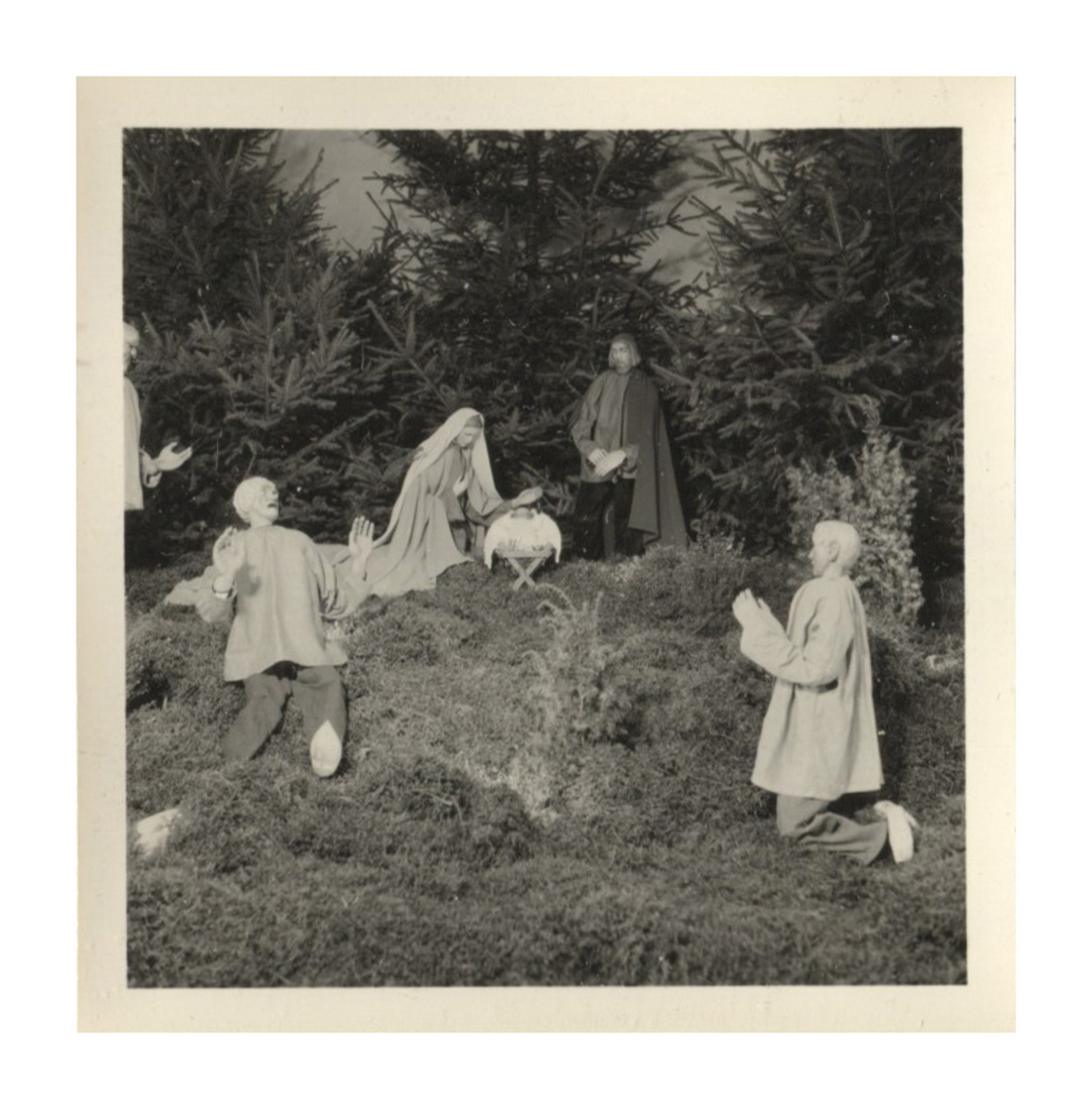 Fotograf: Hickstein, Carmen, Copyright: 1