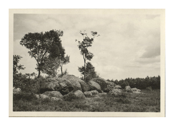 Fotograf: Hickstein, Carmen, Copyright: 1