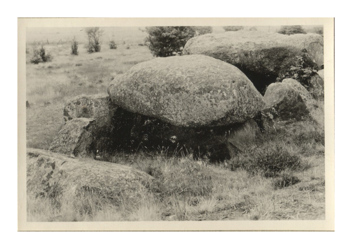 Fotograf: Hickstein, Carmen, Copyright: 1