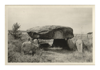 Fotograf: Hickstein, Carmen, Copyright: 1