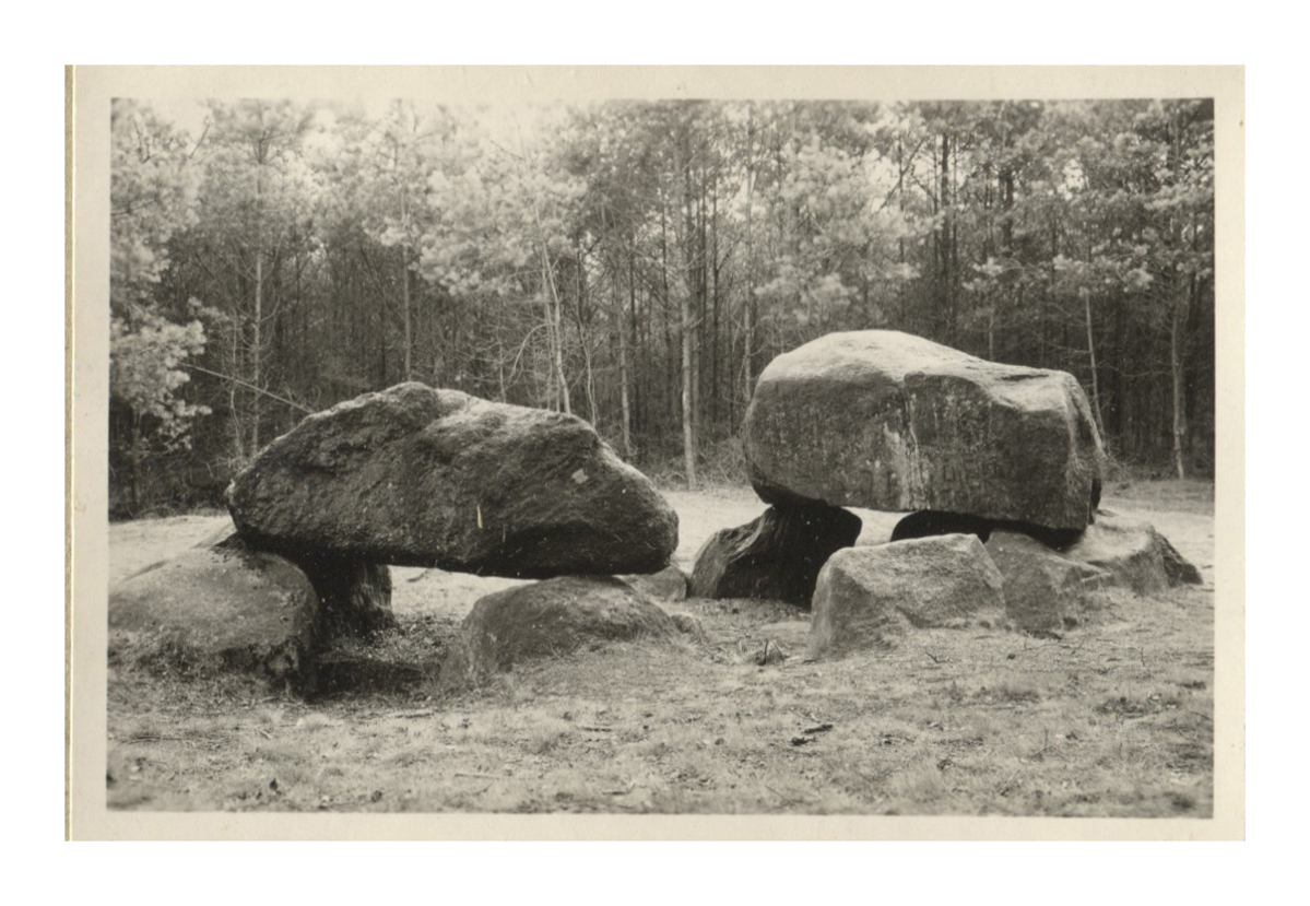 Fotograf: Hickstein, Carmen, Copyright: 1