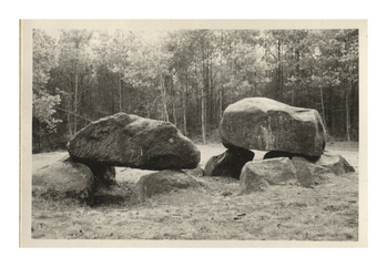 Fotograf: Hickstein, Carmen, Copyright: 1