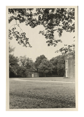 Fotograf: Hickstein, Carmen, Copyright: 1