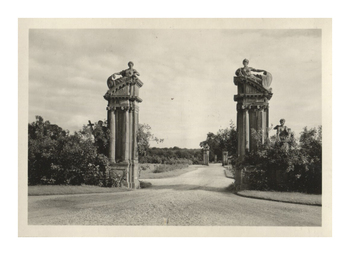 Fotograf: Hickstein, Carmen, Copyright: 1