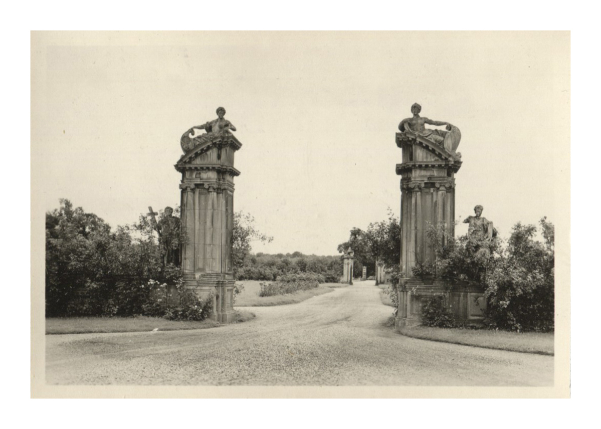 Fotograf: Hickstein, Carmen, Copyright: 1