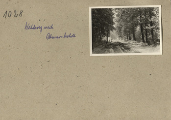 Fotograf: Hickstein, Carmen, Copyright: 1