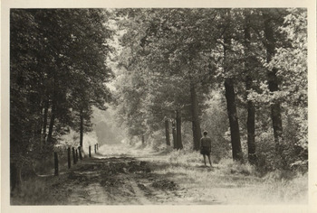 Fotograf: Hickstein, Carmen, Copyright: 1