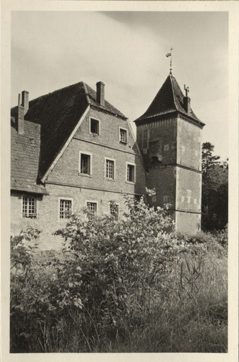 Fotograf: Hickstein, Carmen, Copyright: 1