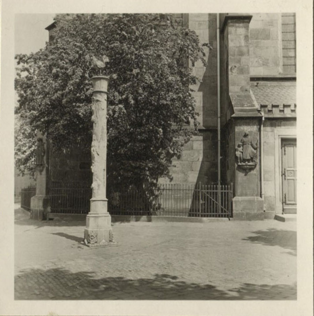 Fotograf: Hickstein, Carmen, Copyright: 1