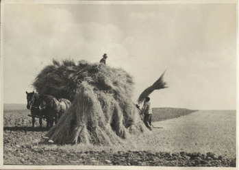 Fotograf: Hickstein, Carmen, Copyright: 1