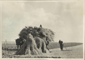 Fotograf: Hickstein, Carmen, Copyright: 1