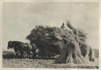 Fotograf: Hickstein, Carmen, Copyright: 1