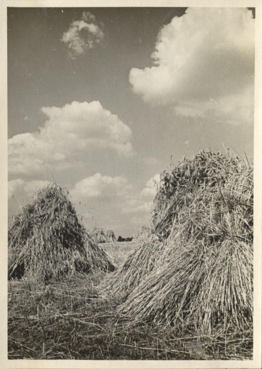 Photographer: Hickstein, Carmen, Copyright: 1