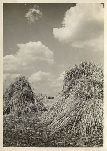 Fotograf: Hickstein, Carmen, Copyright: 1