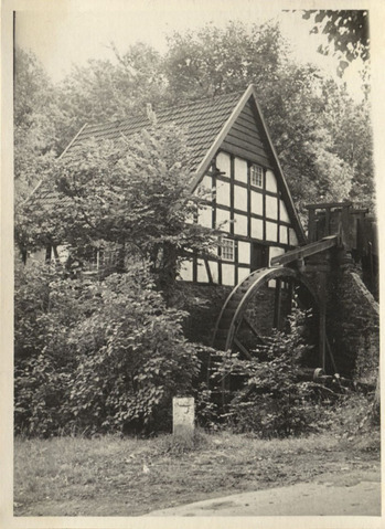 Fotograf: Hickstein, Carmen, Copyright: 1