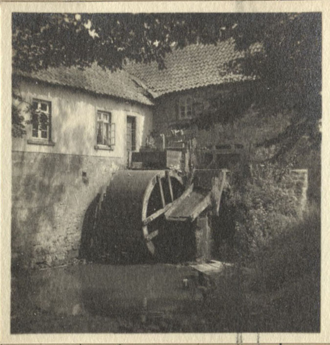 Fotograf: Hickstein, Carmen, Copyright: 1