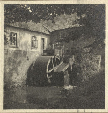 Fotograf: Hickstein, Carmen, Copyright: 1