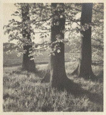 Fotograf: Hickstein, Carmen, Copyright: 1