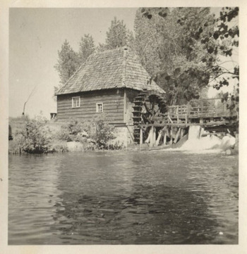 Fotograf: Hickstein, Carmen, Copyright: 1