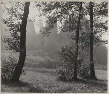 Fotograf: Hickstein, Carmen, Copyright: 1