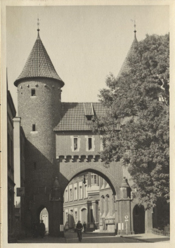 Fotograf: Hickstein, Carmen, Copyright: 1