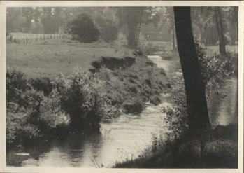 Fotograf: Hickstein, Carmen, Copyright: 1