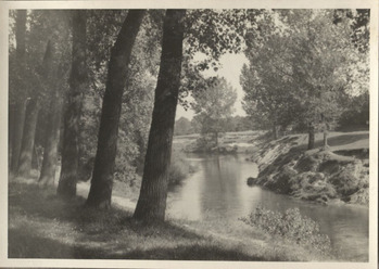 Fotograf: Hickstein, Carmen, Copyright: 1