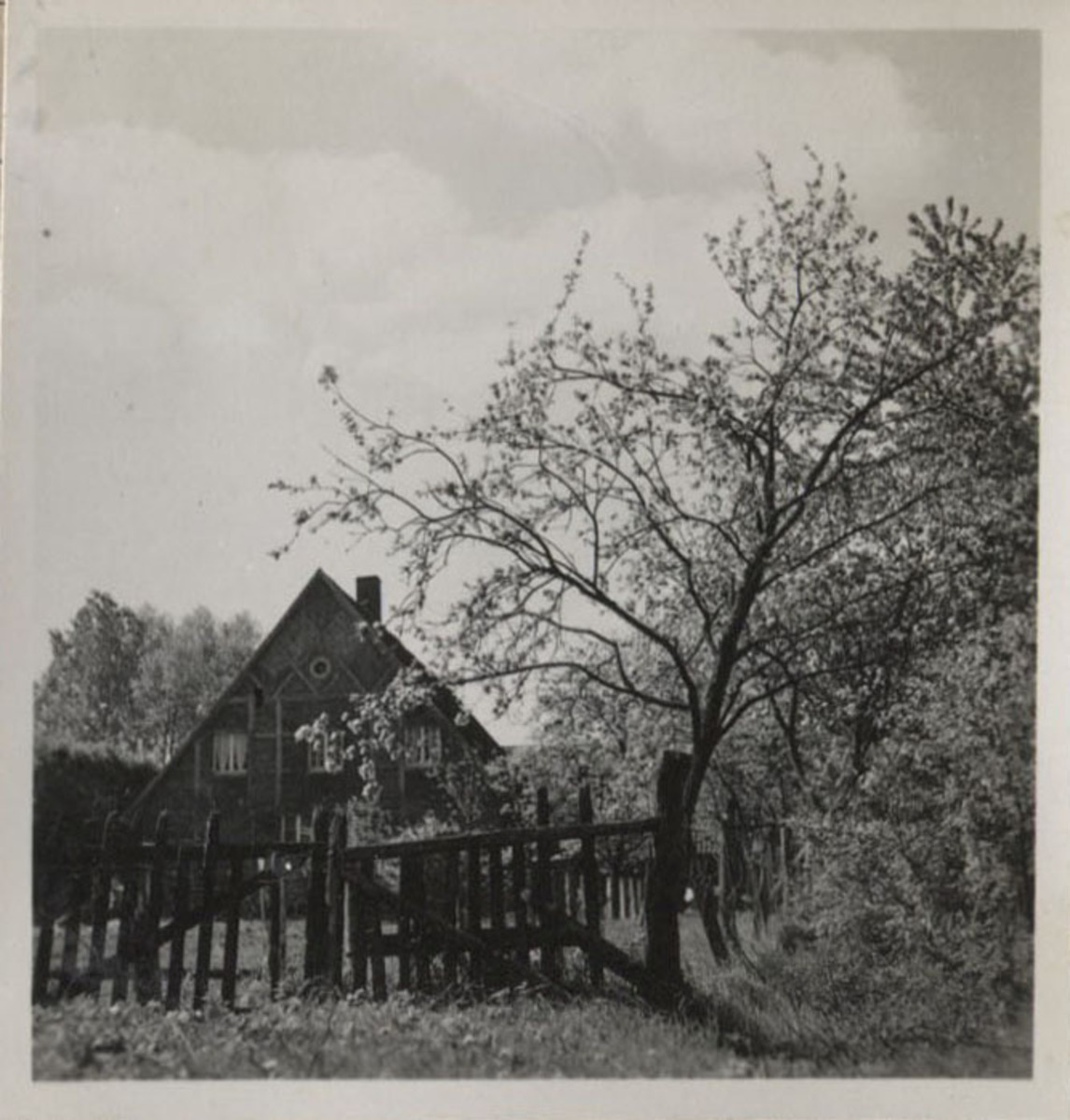 Fotograf: Hickstein, Carmen, Copyright: 1