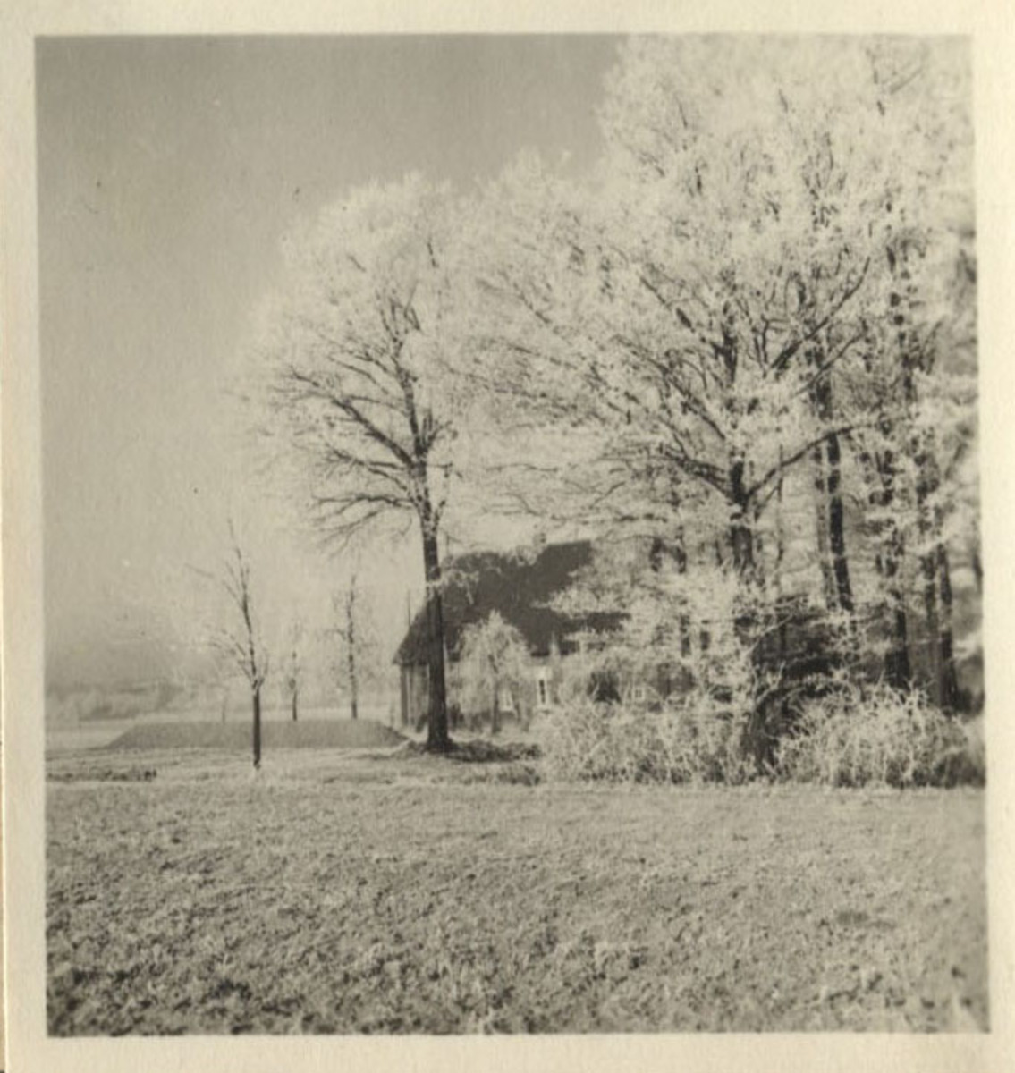 Fotograf: Hickstein, Carmen, Copyright: 1