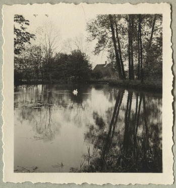 Fotograf: Hickstein, Carmen, Copyright: 1