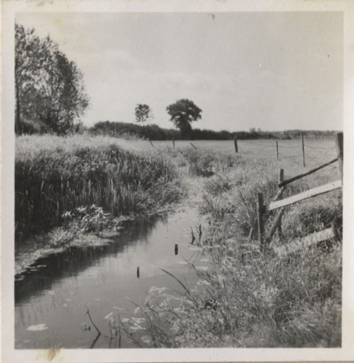 Fotograf: Hickstein, Carmen, Copyright: 1