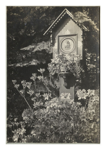 Fotograf: Hickstein, Carmen, Copyright: 1